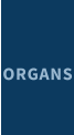 ORGANS